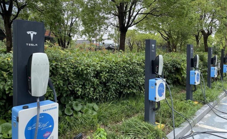 China's NEV penetration rate hit record high of 15% in June