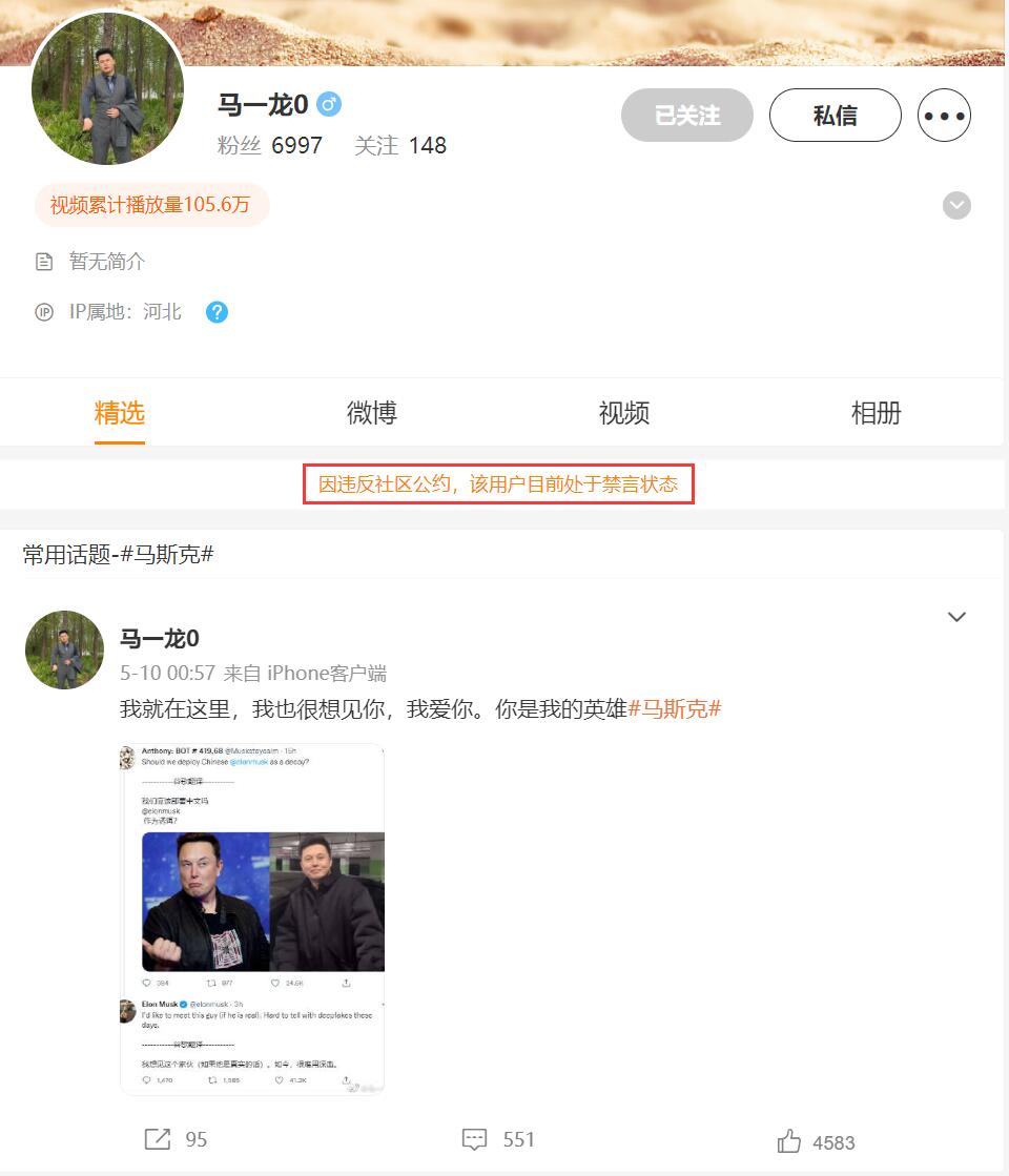 'Chinese Elon Musk' banned on Weibo