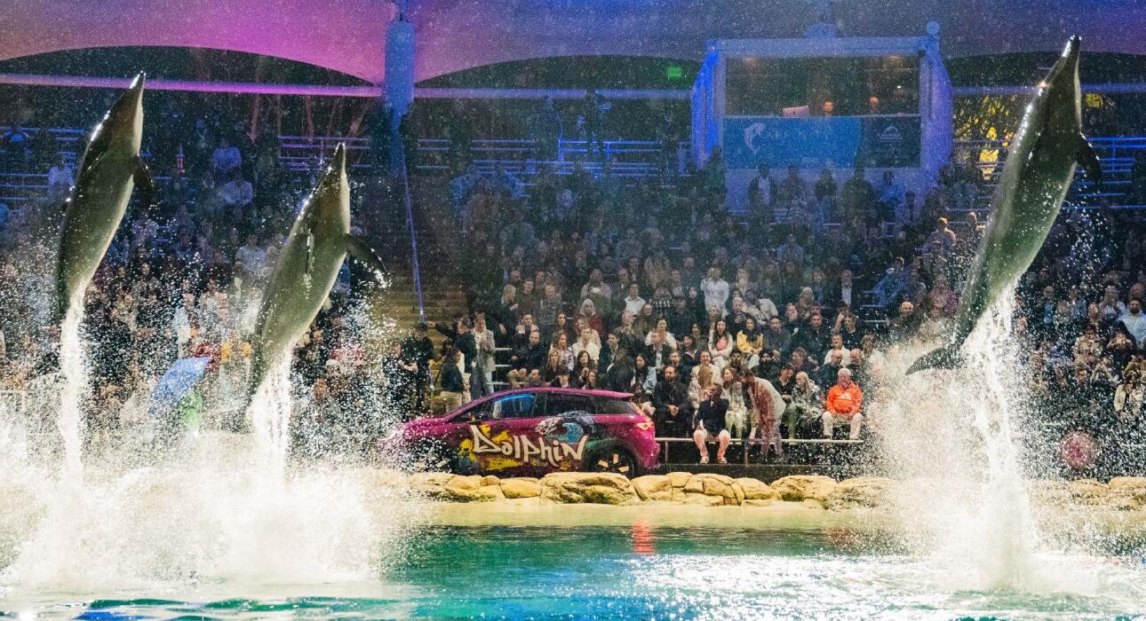 BYD launches Dolphin EV in Australia