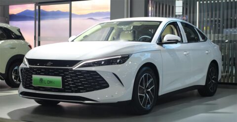 China asks central government units to take lead in adopting local NEVs